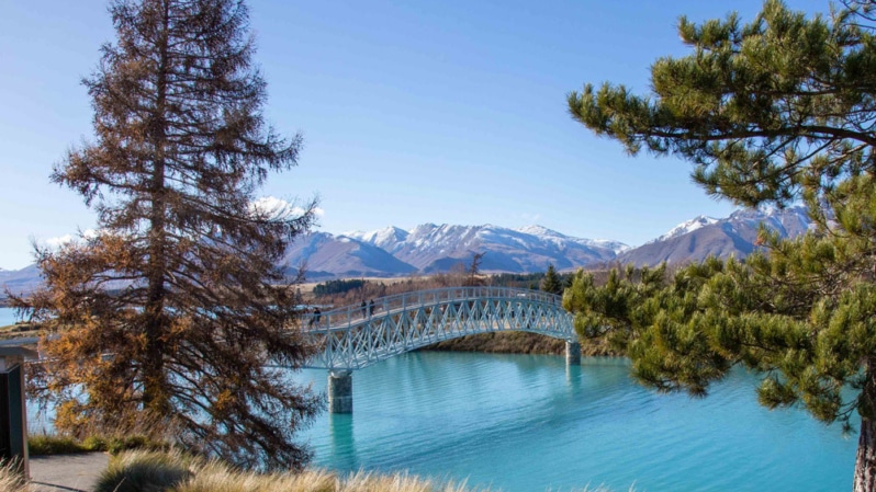 Tekapo bridge banner